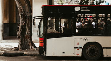 Transit Bus
